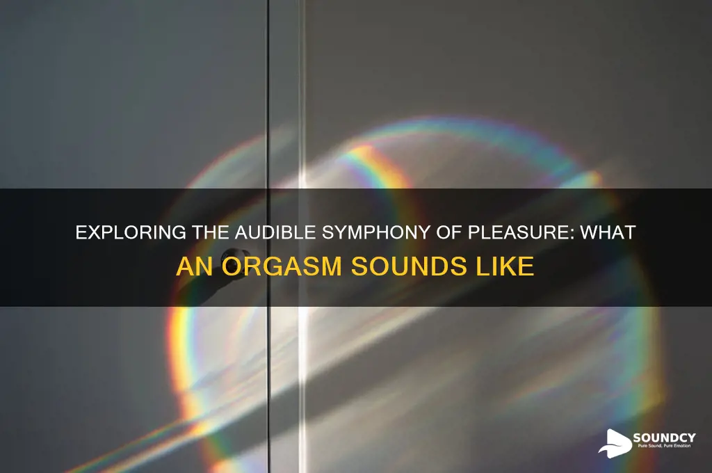 what an orgasm sounds like