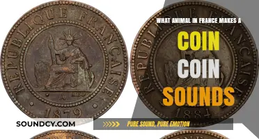 Chirping Currency: The French Animal Making Coin Sounds