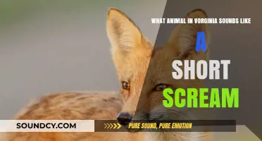 Virginia's Sonic Mystery: The Short Scream of the [Animal]
