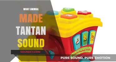 Unveiling the Mystery: Which Animal Creates the Unique Tantan Sound?