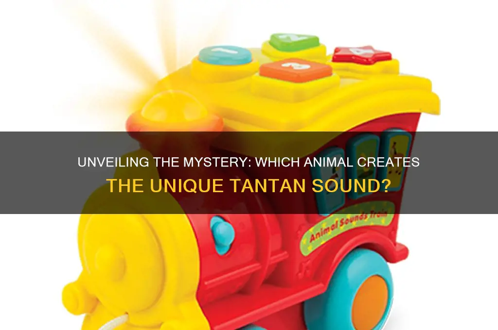 what animal made tantan sound