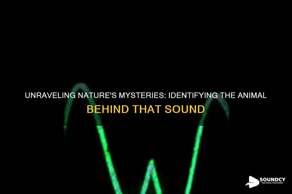 what animal made that sound