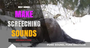 Uncovering the Culprits: Animals That Make Screeching Sounds