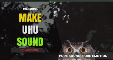 Unveiling the Mystery: Which Animal Makes the Unique 'Uhu' Sound?