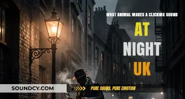 Nocturnal Clicking Mystery: Unveiling the UK's Midnight Soundmaker