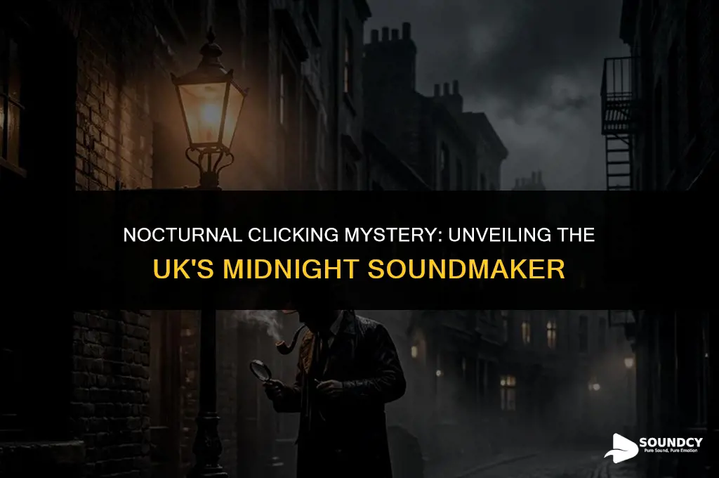 what animal makes a clicking sound at night uk