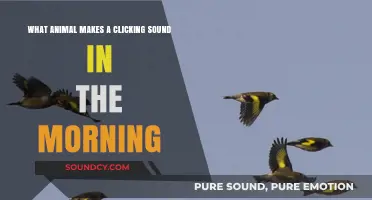 Dawn's Unique Symphony: Which Animal Creates Morning Clicks?