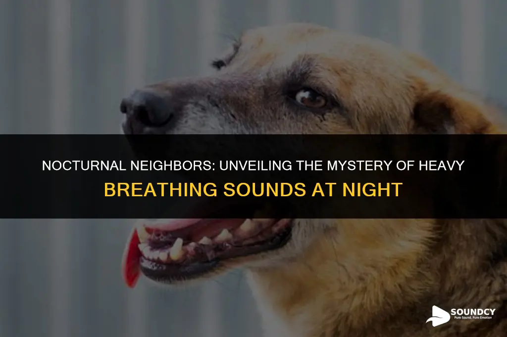 what animal makes a heavy breathing sound at night
