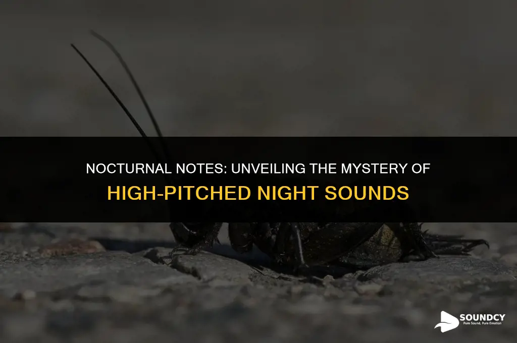 what animal makes a high pitch sound at night