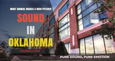 Oklahoma's Sonic Mystery: Uncovering the High-Pitched Animal Calls