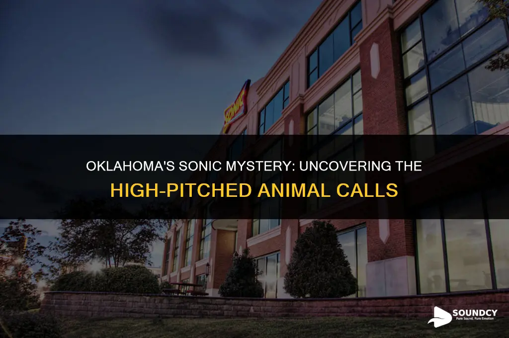 what animal makes a high pitched sound in oklahoma