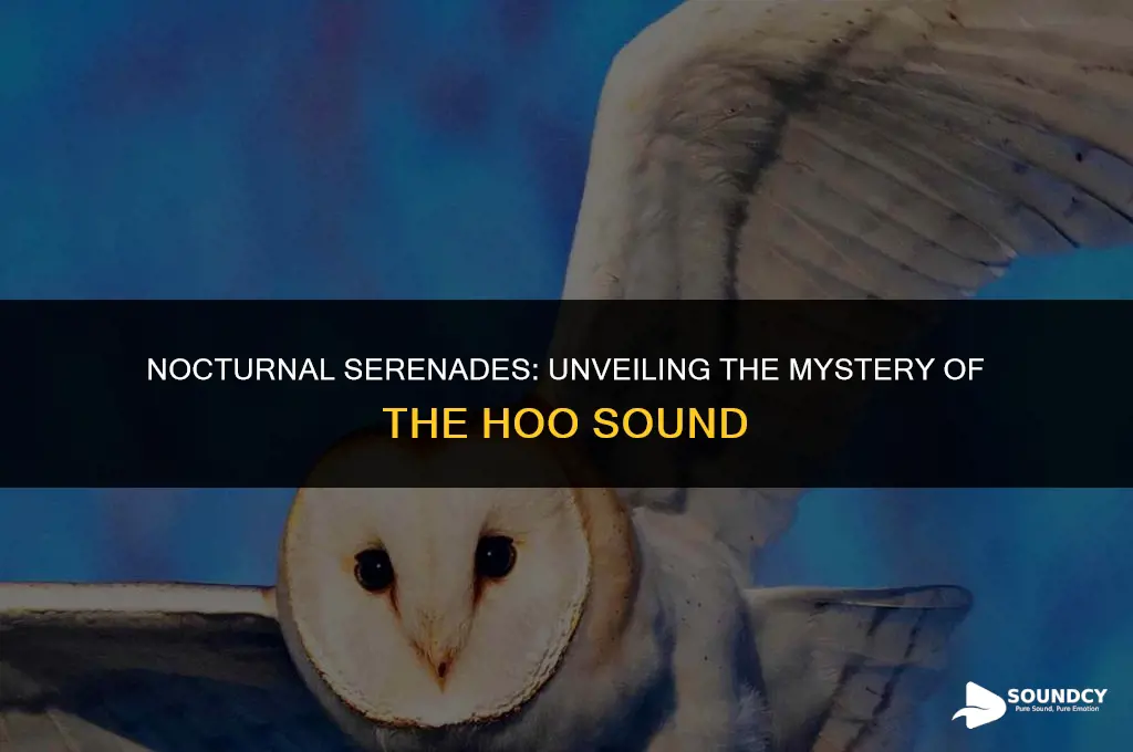 what animal makes a hoo like sound at night
