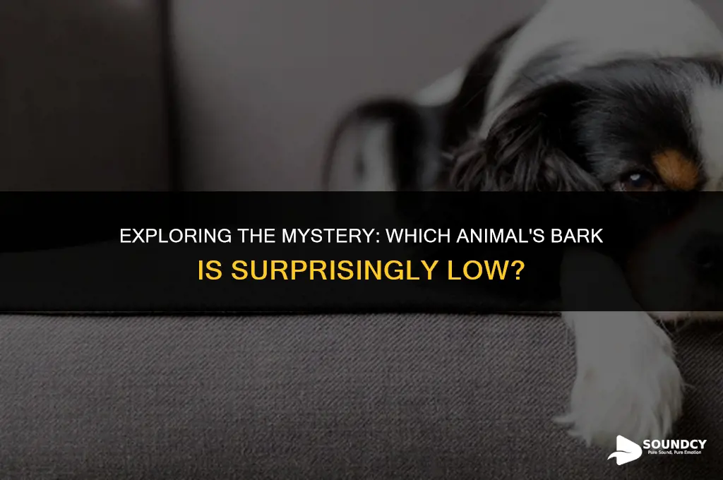 what animal makes a low sound like a bark