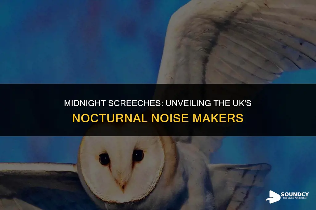 what animal makes a screeching sound at night uk