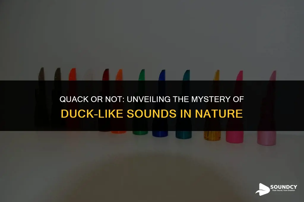 what animal makes a sound like a duck call