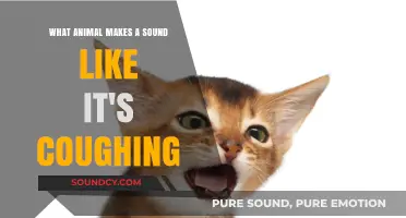 Exploring the Mystery: Which Animal Sounds Like It's Coughing?
