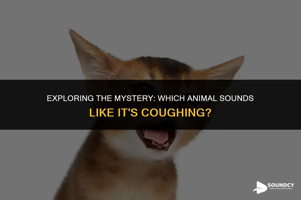 what animal makes a sound like it