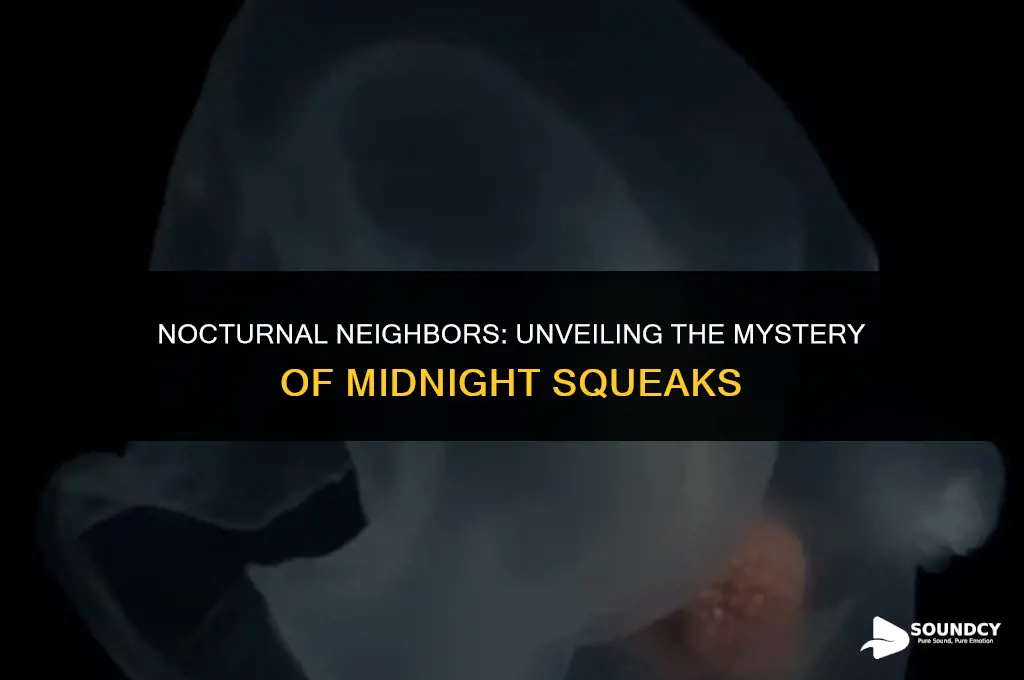 what animal makes a squeaking sound at night outside