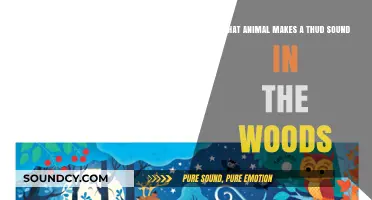 Unveiling the Mystery: Which Woodland Creature Goes 'Thud'?