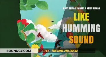 Nature's Mimic: Unveiling the Animal Behind the Human-Like Humming