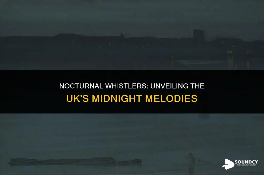 what animal makes a whistling sound at night uk