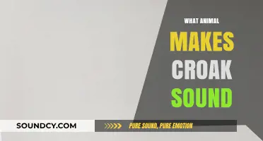 Unveiling the Mystery: Which Animal Produces the Iconic Croak Sound?