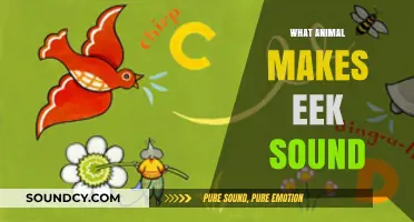 Unveiling the Mystery: Which Animal Produces the Iconic 'Eek' Sound?