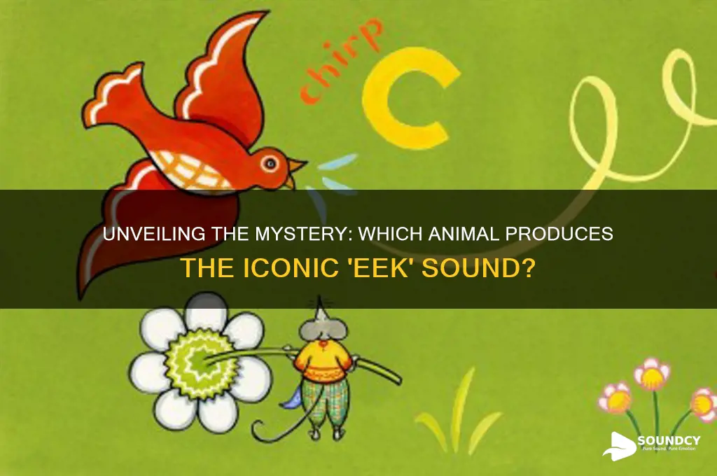 what animal makes eek sound