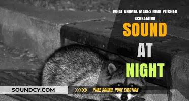 Midnight Melodies: Unraveling the Mystery of High-Pitched Animal Screams