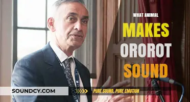 Unveiling the Mystery: Which Animal Produces the Ororot Sound?