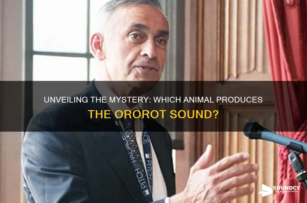 what animal makes ororot sound
