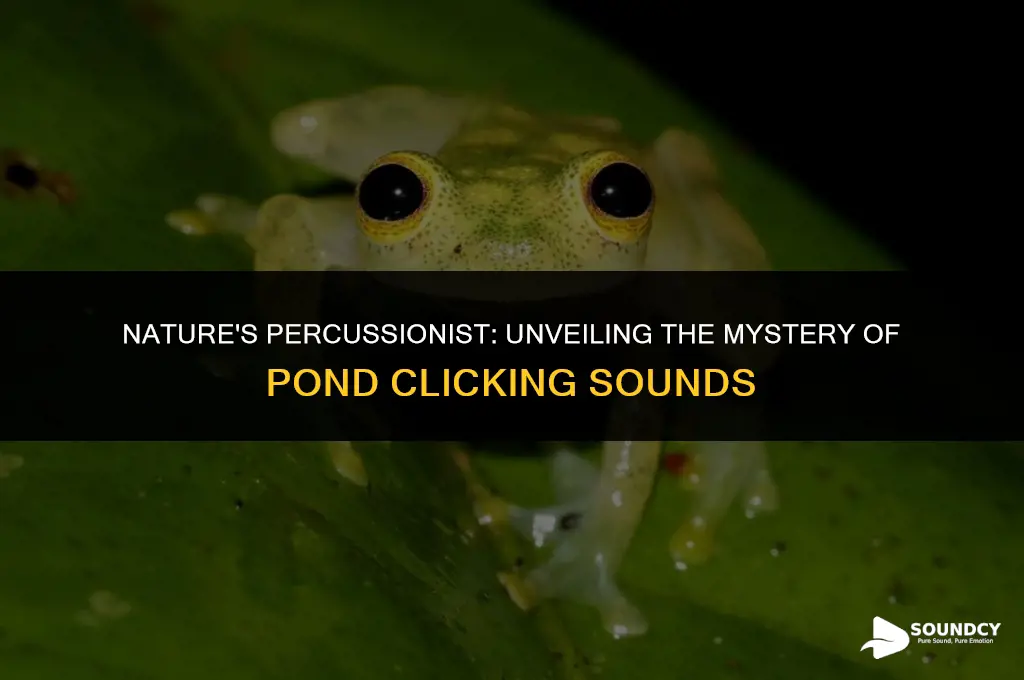 what animal makes the clicking sound at my pond