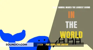 Decibel Kings: Unveiling the World's Loudest Animal Sounds