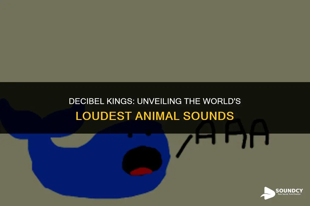 what animal makes the loudest sound in the world