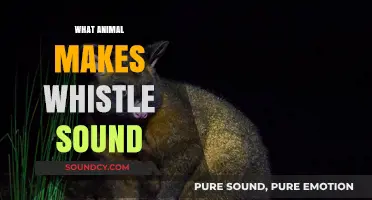 Unveiling the Mystery: Which Animal Creates a Distinct Whistle Sound?