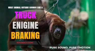 Nature's Mechanics: Unraveling the Mystery of Truck-Like Animal Sounds