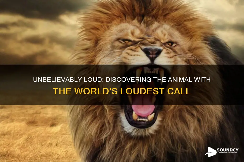 what animal produces loudest sound