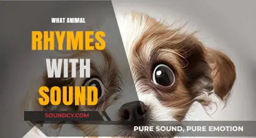 Discover the Surprising Animal That Perfectly Rhymes with Sound
