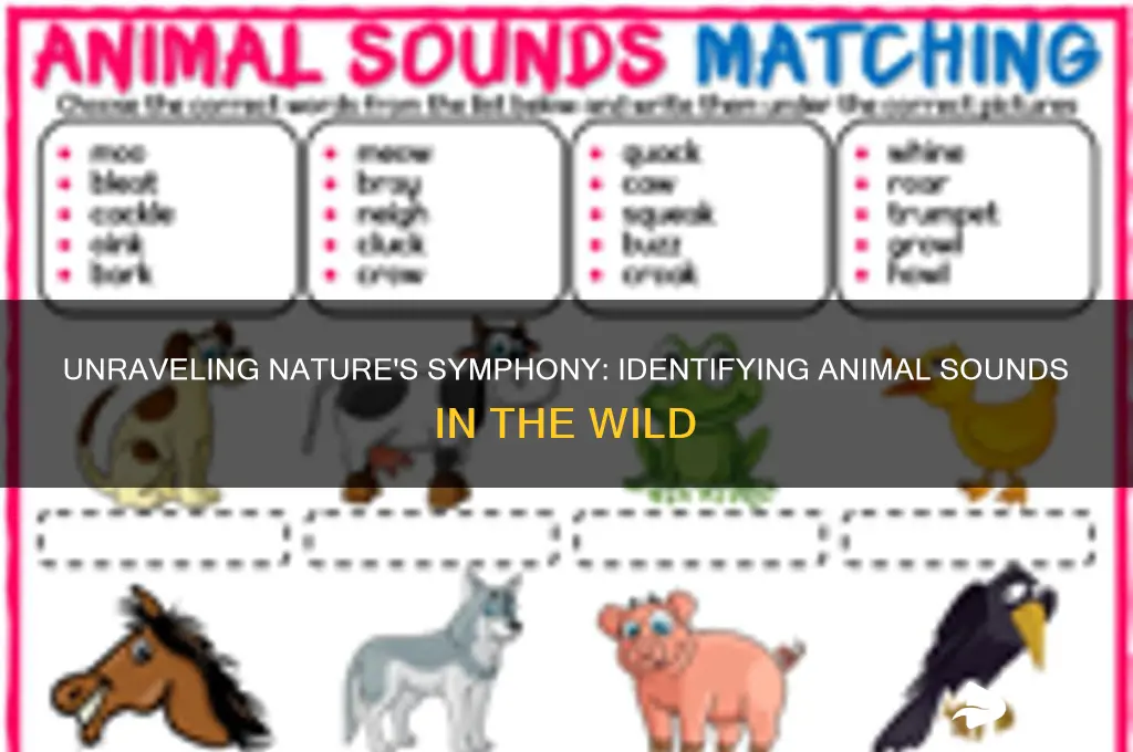 what animal sound is that