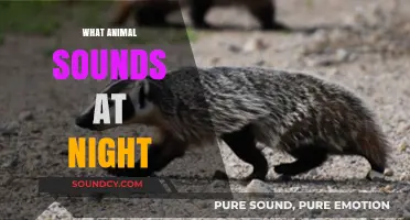 Nocturnal Serenades: Decoding the Mysterious Nighttime Animal Sounds