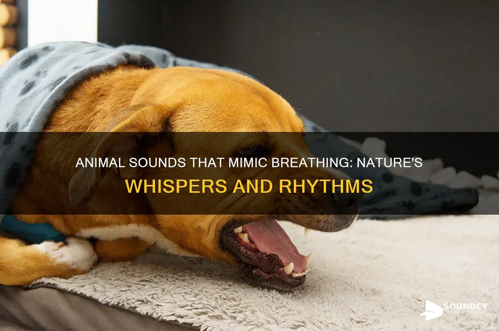 what animal sounds liek breathing