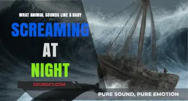 The Mysterious Midnight Wail: What Animal Sounds Like a Baby Screaming?