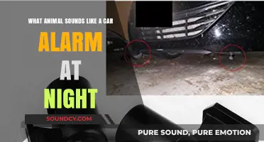 Midnight Mystery: Unraveling the Animal Behind the Car Alarm Illusion