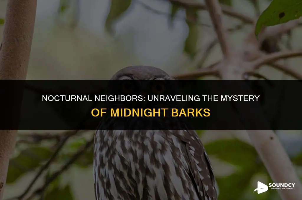 what animal sounds like a dog barking at night