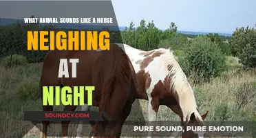 Unraveling the Mystery: Nighttime Neighing Impostors in the Wild