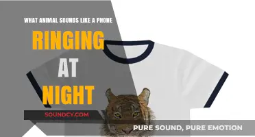 Nature's Ringer: The Surprising Animal That Sounds Like a Phone at Night