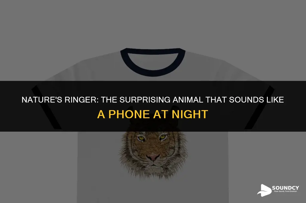what animal sounds like a phone ringing at night