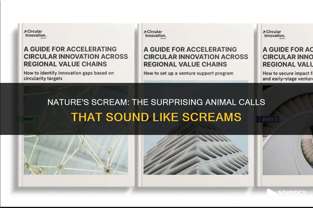 what animal sounds like a scream when it calls