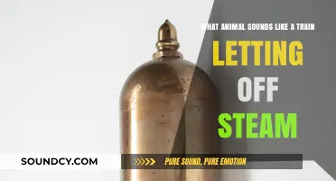 Echoes of the Rails: Unveiling Nature's Steam Whistle Mimic