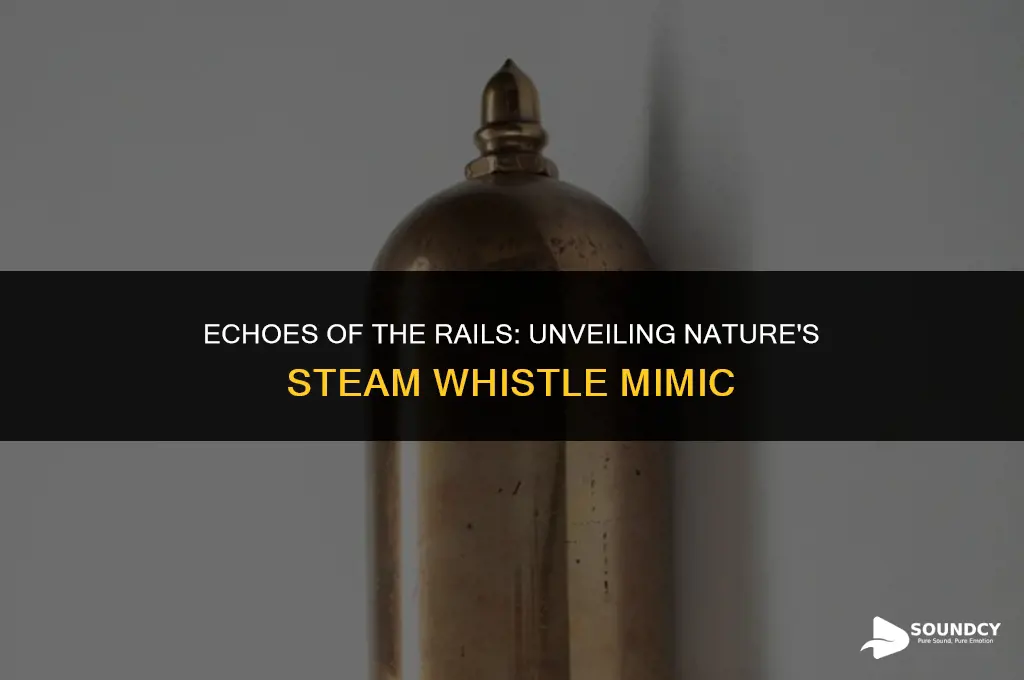 what animal sounds like a train letting off steam